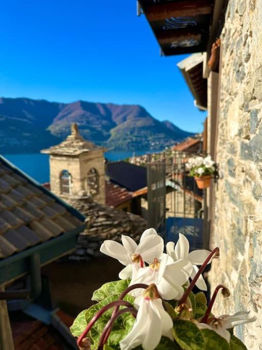 לאליו Romantic Home Stone With Amazing View Lake Of Como And Oleandra מראה חיצוני תמונה